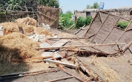 محافظ الدقهلية: التعديات خط أحمر.. والإزالة العاجلة تضمن ردع المخالفين