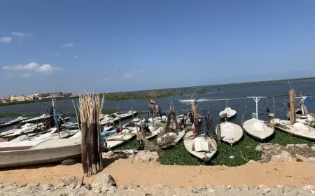 الزراعة توضح سبب نفوق الأسماك في مزارع بحيرة المنزلة: ظاهرة طبيعية ناتجة عن ارتفاع درجات الحرارة