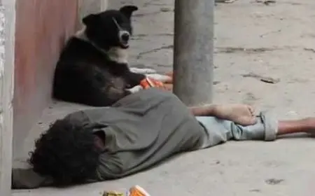 التضامن تكشف عن نتائج التعامل مع حالات “الأطفال بلا مأوى” في خمس محافظات