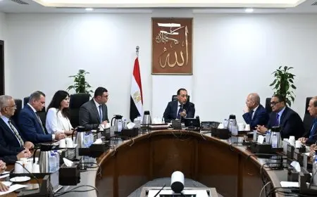 رئيس الوزراء يناقش مشروعات إحياء منطقة «وسط البلد» والقاهرة الخديوية