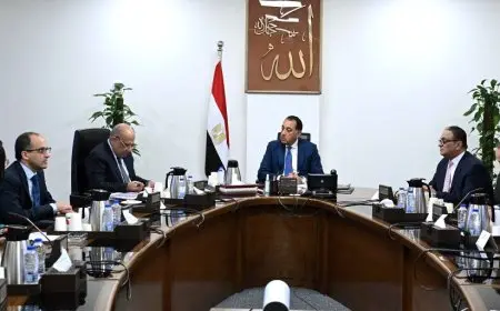 رئيس الوزراء يراقب جهود توفير التغذية الكهربائية لمشروعات الدلتا الجديدة