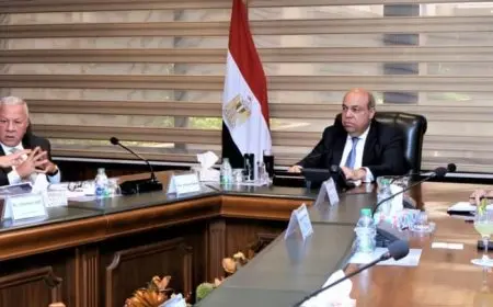 وزير الطيران يناقش مع وفد مطار إنتشون الكوري سبل التعاون في تطوير وتشغيل المطارات المصرية