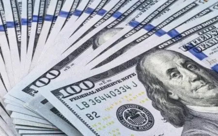 ما هو سعر الدولار اليوم في البنوك المصرية؟