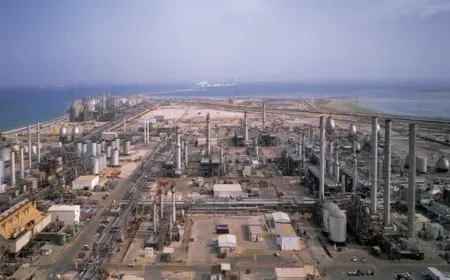 المنطقة الصناعية بالقنطرة توفر 45 ألف وظيفة في 31 مشروعًا باستثمارات تبلغ 799 مليون دولار