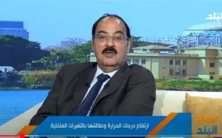 في ظل موجات الحر.. خبير بيئي يحذر من الظواهر المناخية المتطرفة ويقدم نصائح للوقاية