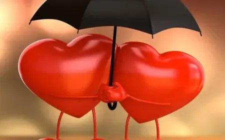 تباين الحب والتعلق وتأثيرهما على العلاقات الجديدة