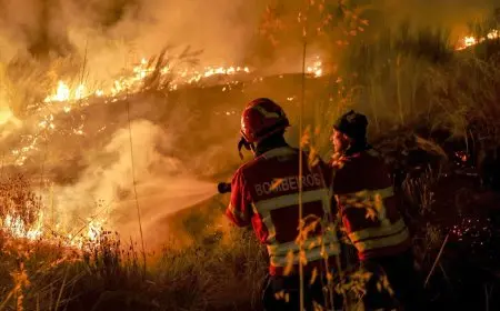 حرائق الغابات المدمرة تضرب أوروبا.. وبدء إجلاء آلاف السكان