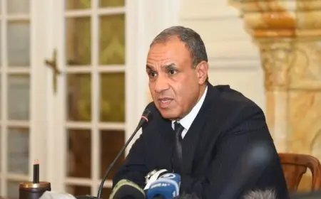 وزير الخارجية: نرفض توسيع العمليات العسكرية في غزة وتصفية القضية الفلسطينية