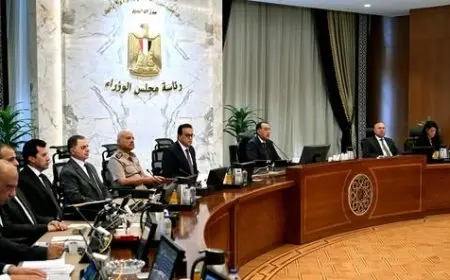 الحكومة توافق على إعفاء سيارات المعاقين من الرسوم الجمركية