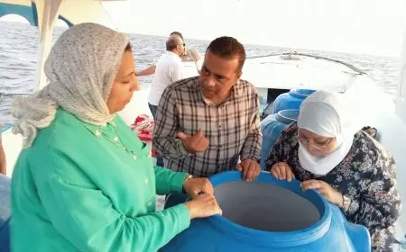 إطلاق مليون يرقة جديدة من جمبري بحيرة قارون للحفاظ على المخزون السمكي