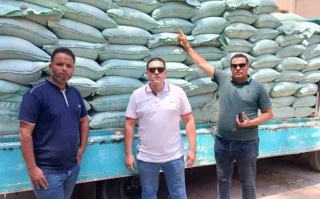 الجيزة: ضبط 38.5 طن من الدقيق البلدي المدعوم قبل بيعه في السوق السوداء
