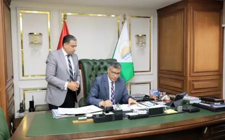 اعتماد محافظ الجيزة نتيجة الدور الثاني للشهادة الإعدادية بنسبة نجاح 88.90%