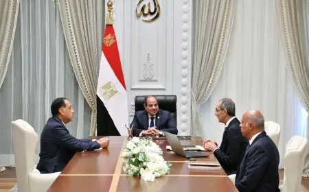 السيسي يأمر بوضع استراتيجيات واضحة وقابلة للتنفيذ لتطبيق الذكاء الاصطناعي