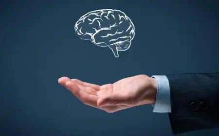 خبر غير متوقع حول تطبيق قانون مكافحة انتهاكات حقوق الملكية الفكرية في مصر