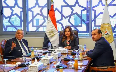 وزيرة التنمية المحلية تتابع تحسين المسارات والمناطق العامة في بورسعيد ورشيد