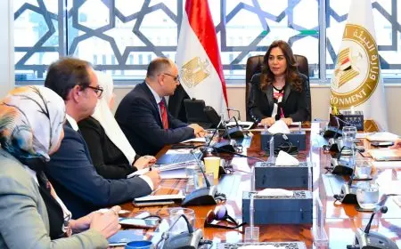 وزيرة التنمية المحلية تناقش الاستعدادات الوطنية لقمة المناخ COP30 في البرازيل