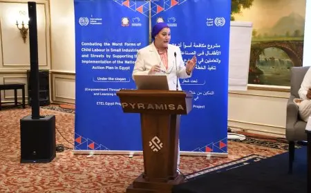 رئيسة “المجلس القومي للطفولة” تشارك في اجتماع اللجنة التوجيهية لمكافحة عمل الأطفال