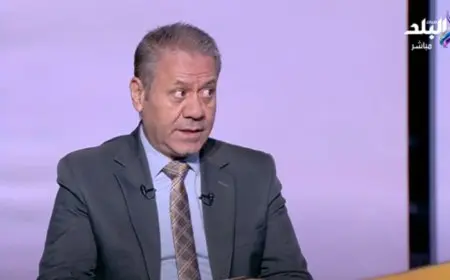 عضو المجلس الوطني الفلسطيني: مصر دعم مستمر لفلسطين منذ النكبة