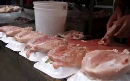 زيادة أسعار البانيه والدواجن في الأسواق اليوم الثلاثاء 19 أغسطس 2025