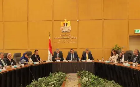 وزير السياحة والإسكان ومحافظ الجيزة يتابعون خطة تطوير المنطقة المحيطة بمطار سفنكس