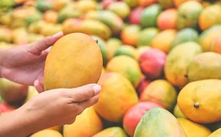 أسعار المانجو في سوق العبور اليوم الثلاثاء 19 أغسطس 2025