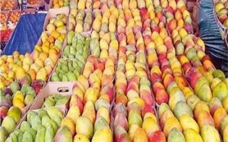 أسعار المانجو اليوم الأربعاء في سوق العبور بعد الانخفاضات الأخيرة