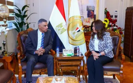 وزيرة التنمية المحلية تناقش مع محافظ أسوان مبادرة “حياة كريمة” والموجة الـ 27 لإزالة التعديات