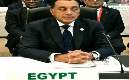 رئيس الوزراء يشارك في الجلسة الختامية لمؤتمر “تيكاد 9” الدولي للتنمية الأفريقية في طوكيو