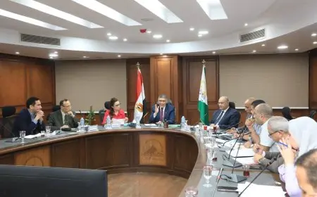 الجيزة: خطة سريعة لتحديث مرافق المنطقة الصناعية بأبو رواش وتحسين بنيتها التحتية
