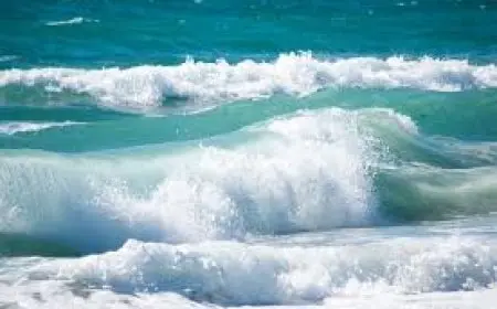 6 حالات وفاة و24 مصاباً.. التفاصيل الكاملة لحادث غرق طلاب في الإسكندرية