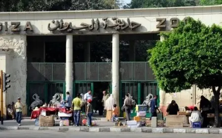استمرار جهود التطوير الشاملة في حديقة الحيوان بالجيزة