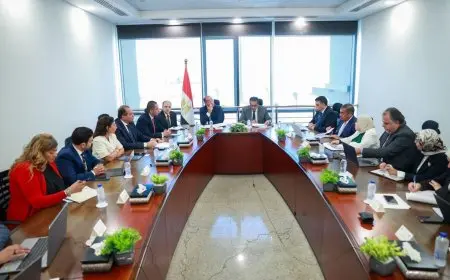 وزير الخارجية: قطاع الأدوية يعد من الأسس التعاون المصري مع الدول الأفريقية