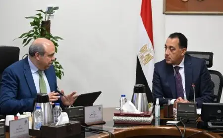 رئيس الوزراء يستعرض تقدم تنفيذ مشروع مبنى 4 في مطار القاهرة الدولي