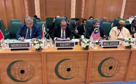 مصر تدعو المجتمع الدولي للضغط على إسرائيل لوقف العمليات العسكرية وتأمين وصول المساعدات