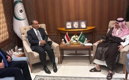 وزير الخارجية ونظيره السعودي يعززان موقفهما الرافض للاعتداءات الإسرائيلية وسياسة التجويع في غزة
