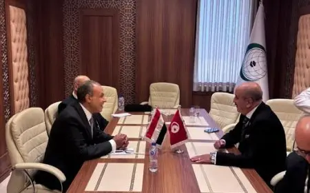 وزيرا خارجية مصر وتونس يناقشان العلاقات الثنائية والتطورات الإقليمية