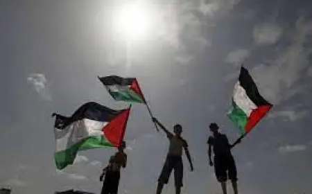 مركز المعلومات بمجلس الوزراء يطلق نشره خاصة حول توجهات الرأي العام العالمي تجاه القضية الفلسطينية