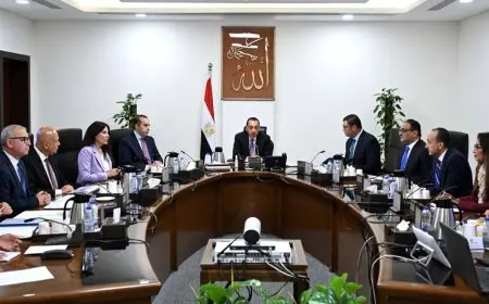 مدبولي يسلط الضوء على طرق تنفيذ مشاريع الكهرباء في المدن الجديدة بالشراكة مع القطاع الخاص