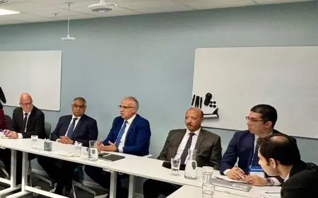 للاستفادة من التكنولوجيا.. وزير الري يجتمع بممثلي مجلس التجارة والاستثمار السويدي