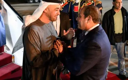 الرئيس السيسي يودع الشيخ محمد بن زايد بعد انتهاء زيارته لمصر
