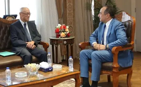 وزير قطاع الأعمال العام يستقبل السفير الياباني في القاهرة لتعزيز التعاون المشترك