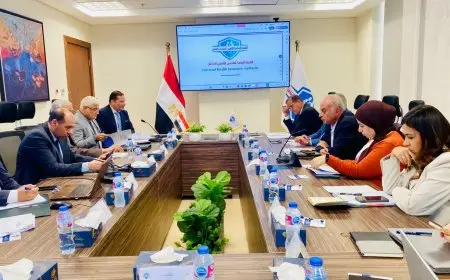 حزمة من القرارات الجديدة لتعزيز استدامة نظام التأمين الصحي الشامل.. التفاصيل