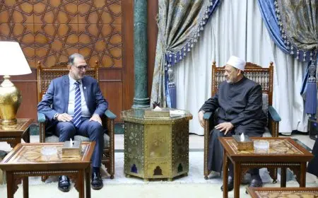 شيخ الأزهر يستقبل رئيس الهيئة القومية لسلامة الغذاء لمناقشة سبل التعاون