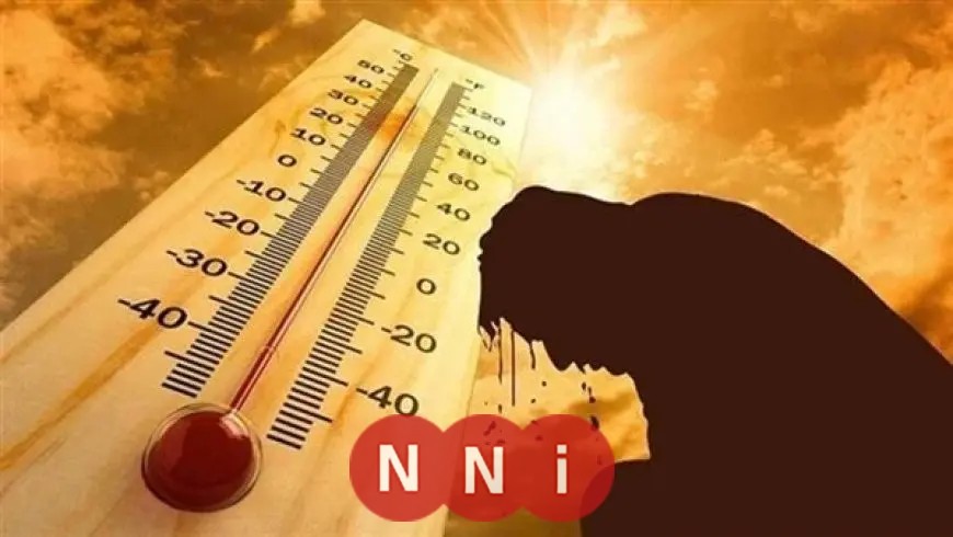 الأرصاد تنبه من الشبورة صباح الأحد.. ودرجات الحرارة تستمر في الانخفاض شمالًا