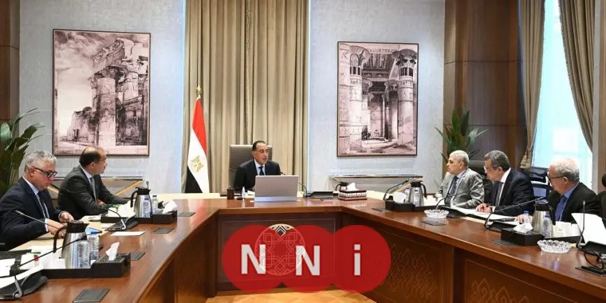 مدبولي يتناول خيارات إعادة هيكلة المؤسسات الاقتصادية