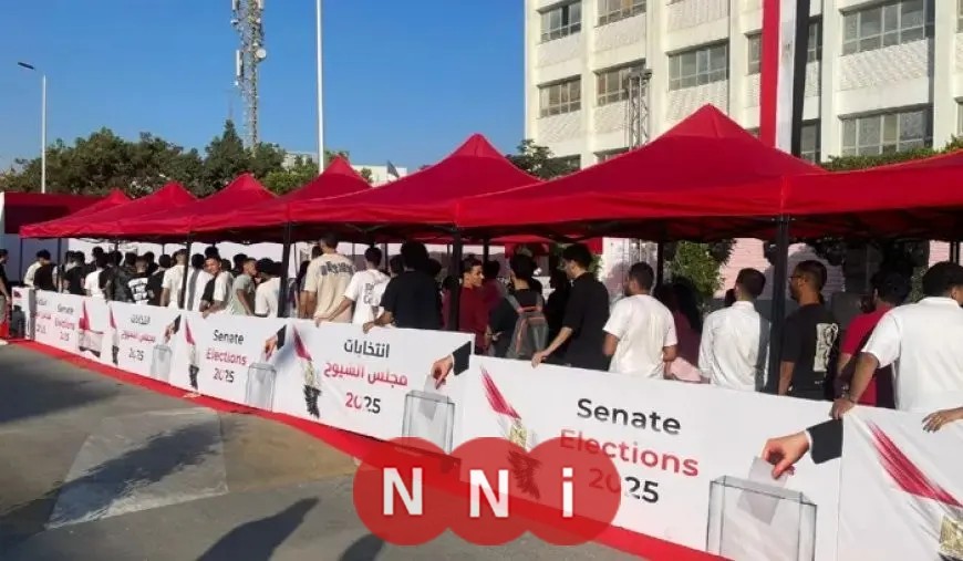 طنطا تحتفل بانتخابات الشيوخ بحضور شبابي وتنظيم أمني متقن