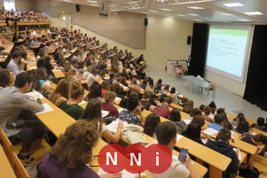 “استفسارات وإجابات: كل ما تحتاج معرفته حول المرحلة الثانية من تنسيق الجامعات لعام 2025”