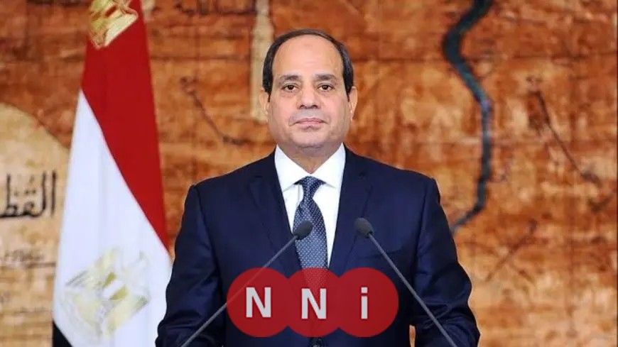 طارق فهمي: تصريحات الرئيس السيسي قضت على محاولات تشويه الدور المصري