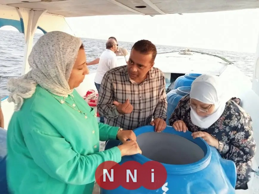 إطلاق مليون يرقة جديدة من جمبري بحيرة قارون للحفاظ على المخزون السمكي