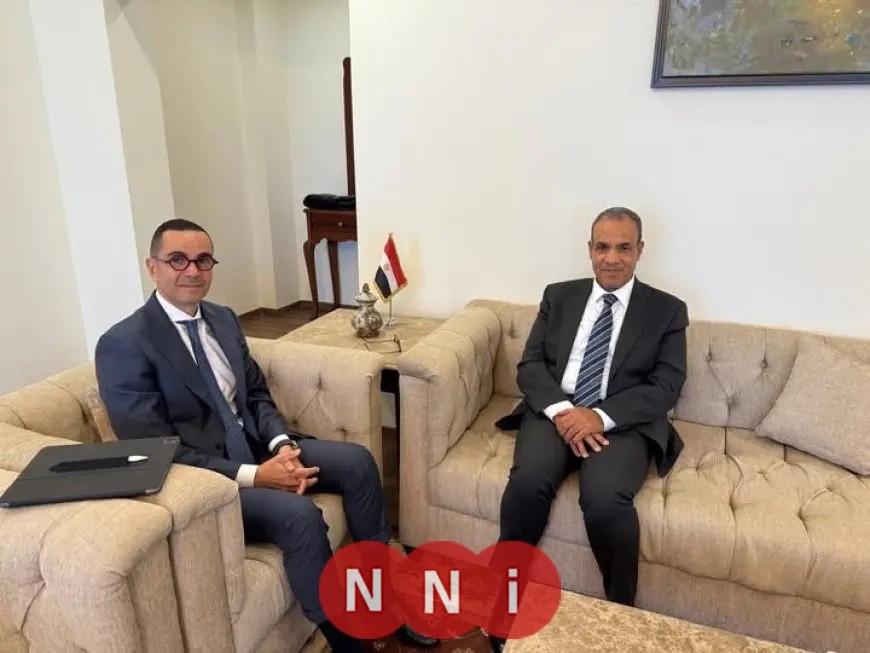 وزير الخارجية يلتقي وزير الاستثمار لتعزيز الوجود الاقتصادي المصري في إفريقيا